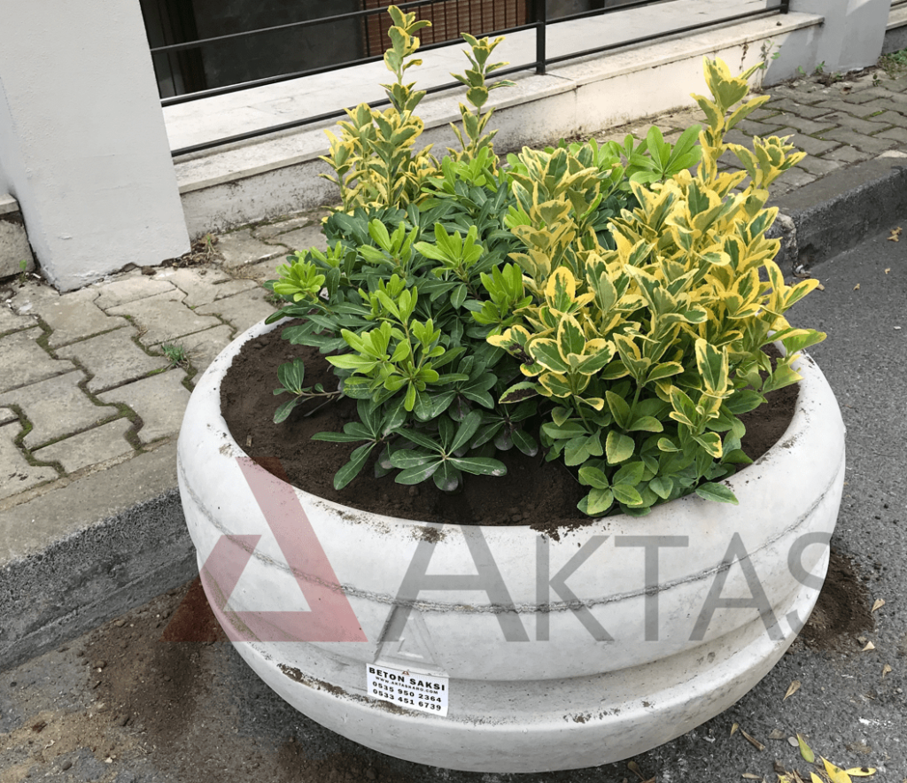 yuvarlak beton saksı, gri saksı, dış mekan saksısı, 80x80x40 saksı